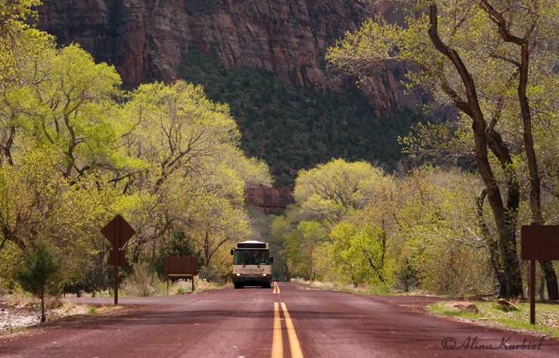 Zion National Park