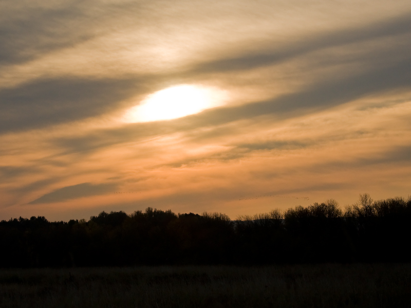 Oct 27 07 Ridgefield Refuge-127.jpg