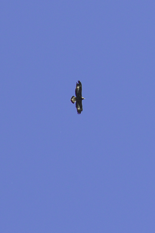 418.jpg