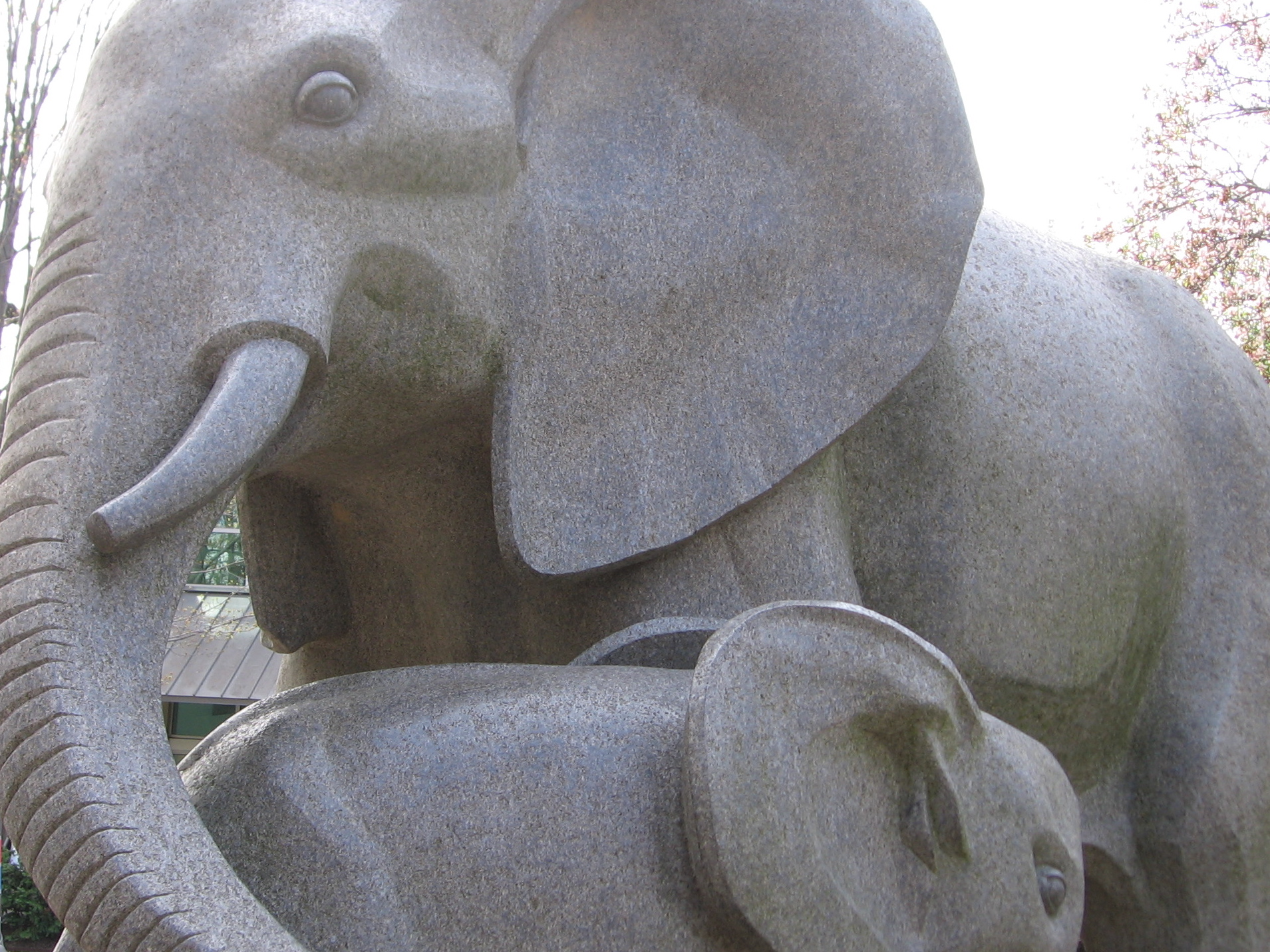 Philadelphia Zoo #6172