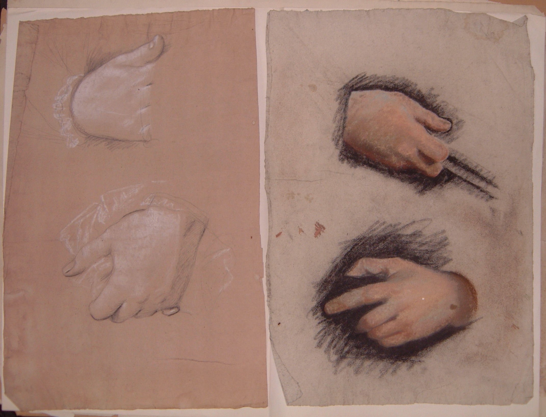 hand study 0030