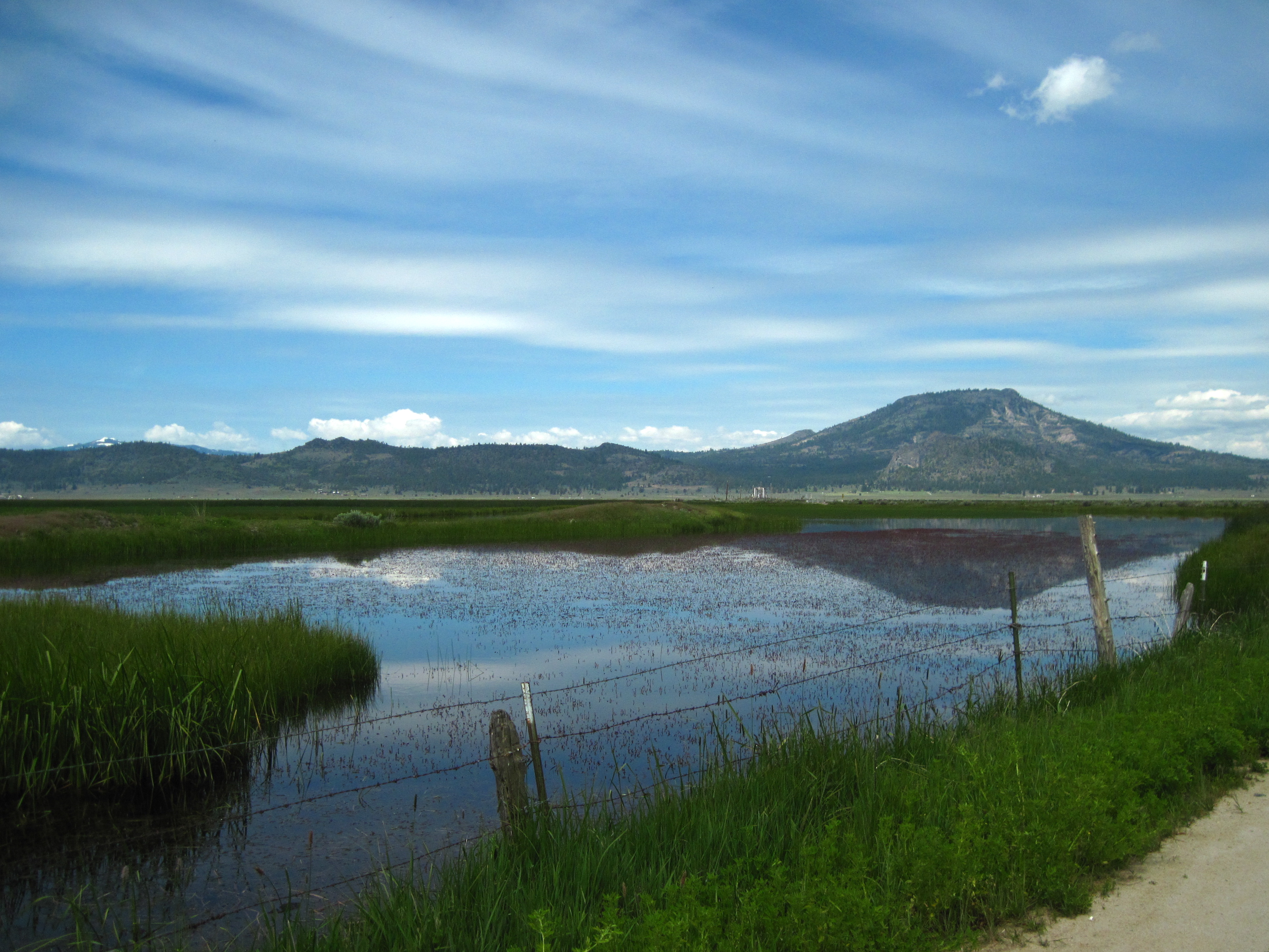 dyson road, sierra valley 1