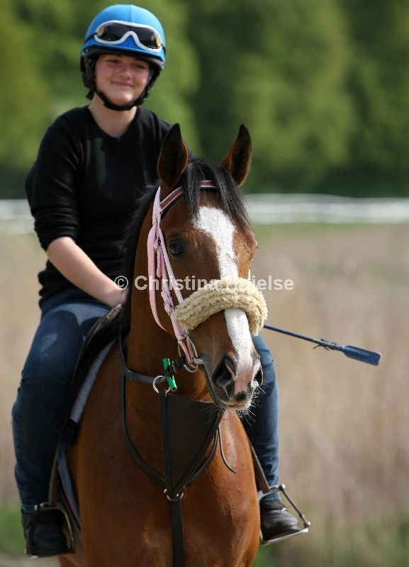 5670b.jpg (Majestic Eleven)