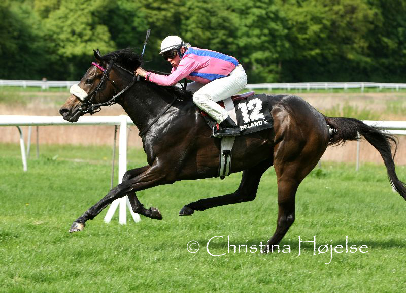 7632f.jpg (Sir Randolph - 2000 Guineas)