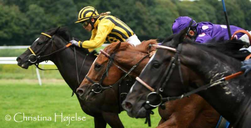 6266s.jpg (Dan Tucket & Gulapa & Smokey Storm)