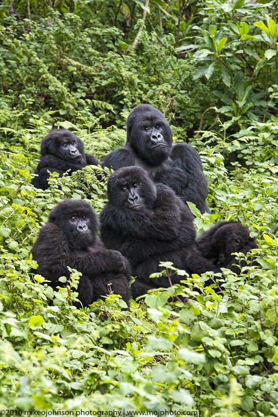 045-Sabinyo Family