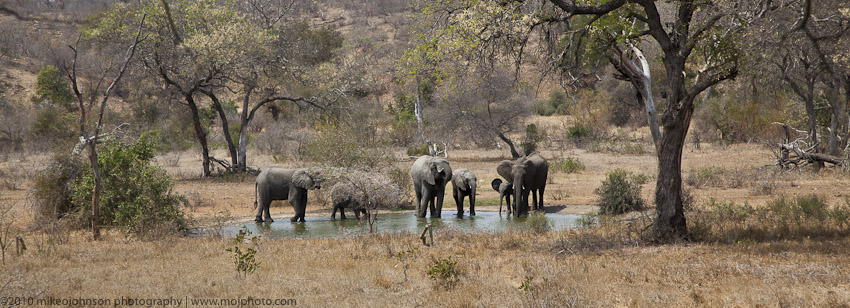 021-Camp Water Hole