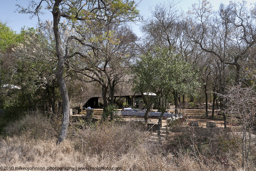 036-Camp View from Bush