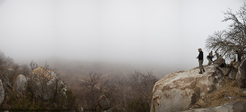 049-Mala Mala in the Fog