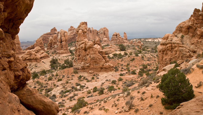 View from Windows Arch - Arches National Park
