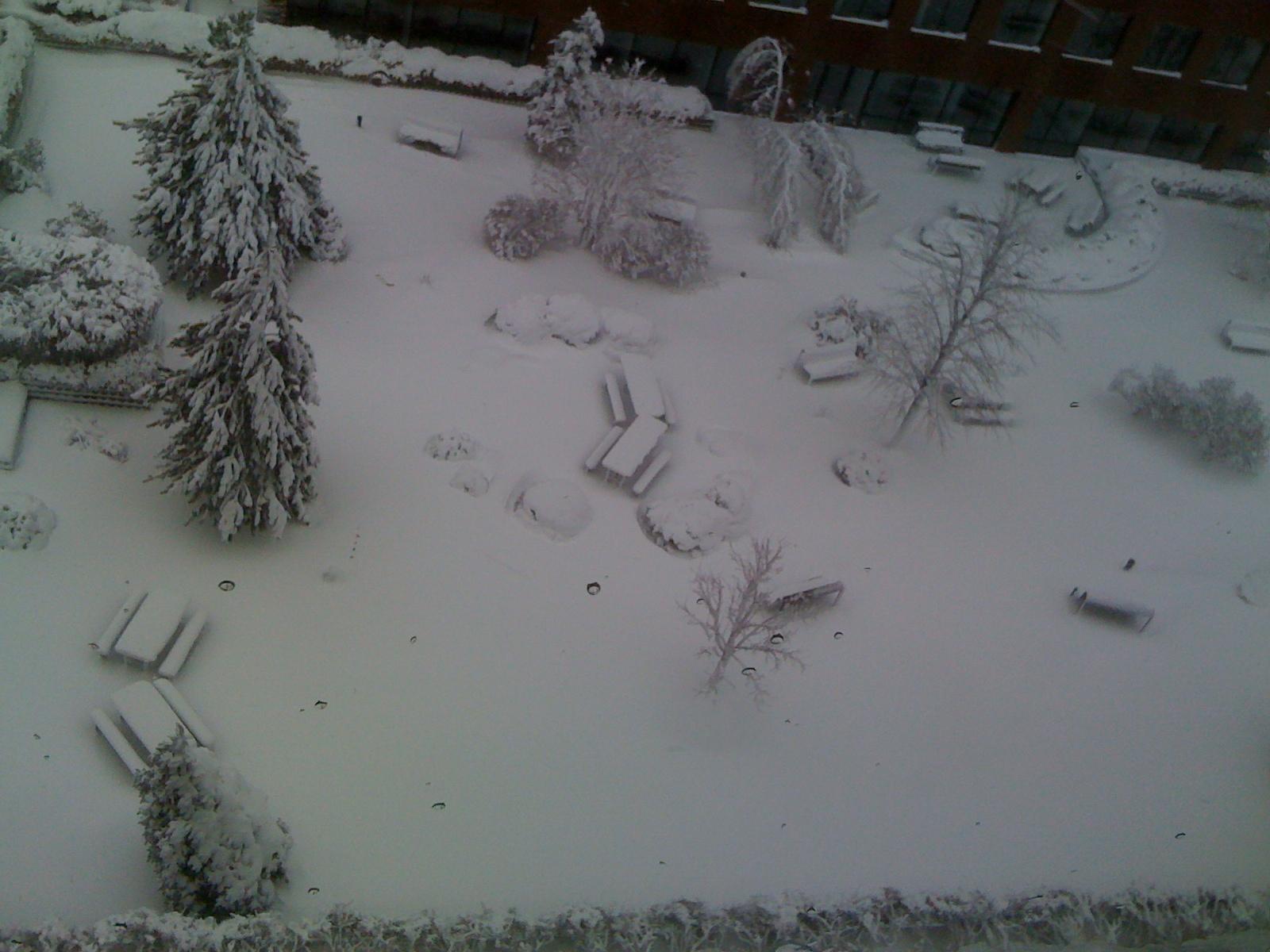 IMG_0074.JPG