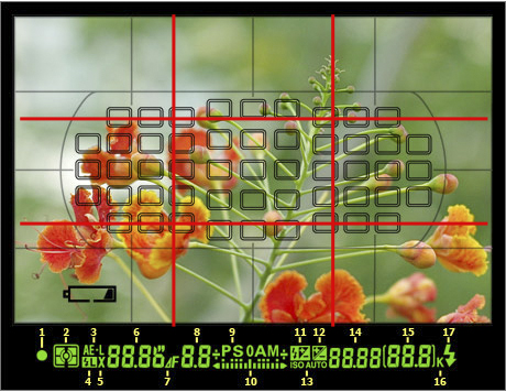 Viewfinder D300 - rule of thirds.jpg