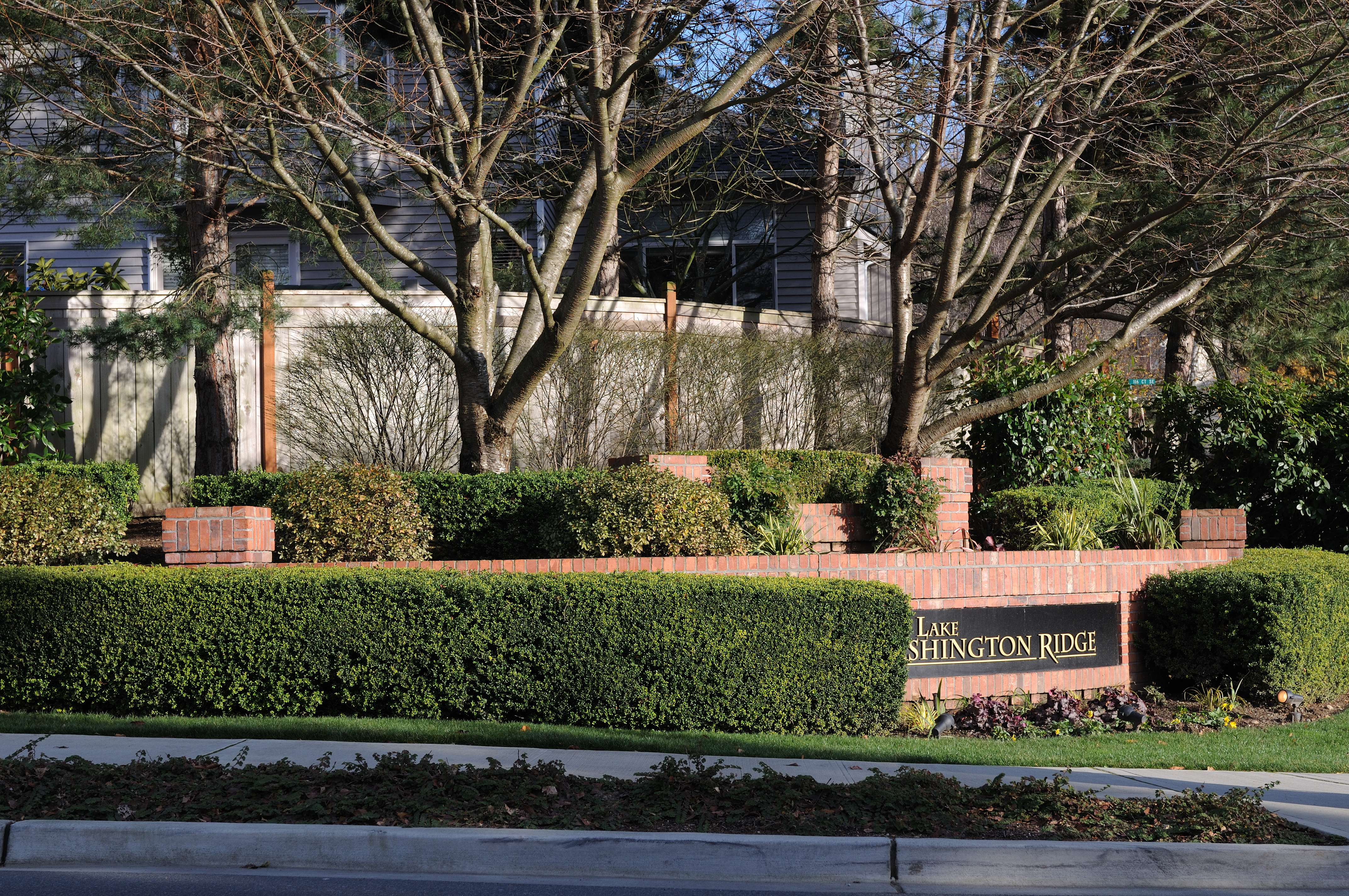 NX LR1_D300_100.jpg
