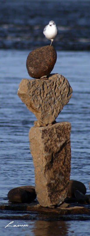 balancing act 5643