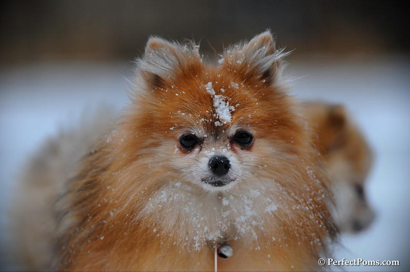 Feb10_10_248.JPG