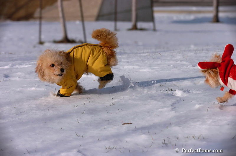 Dec4_07_146.JPG