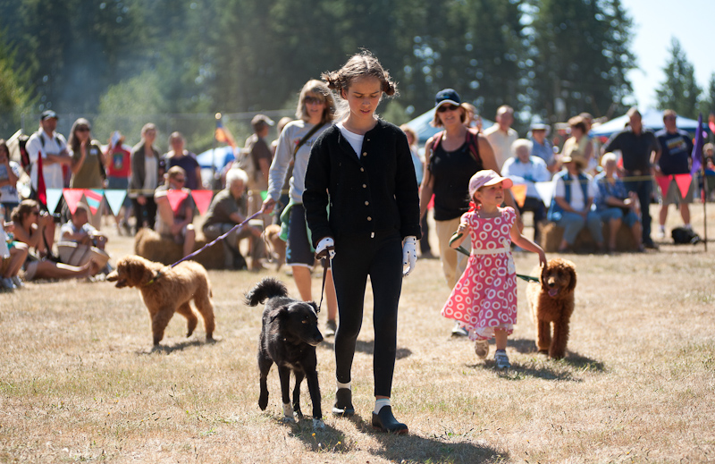 Dogs (and a Pony)