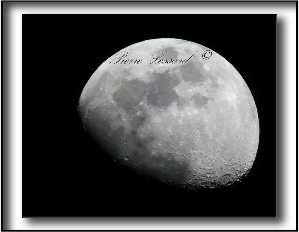 _MG_2632aa .jpg - LUNE