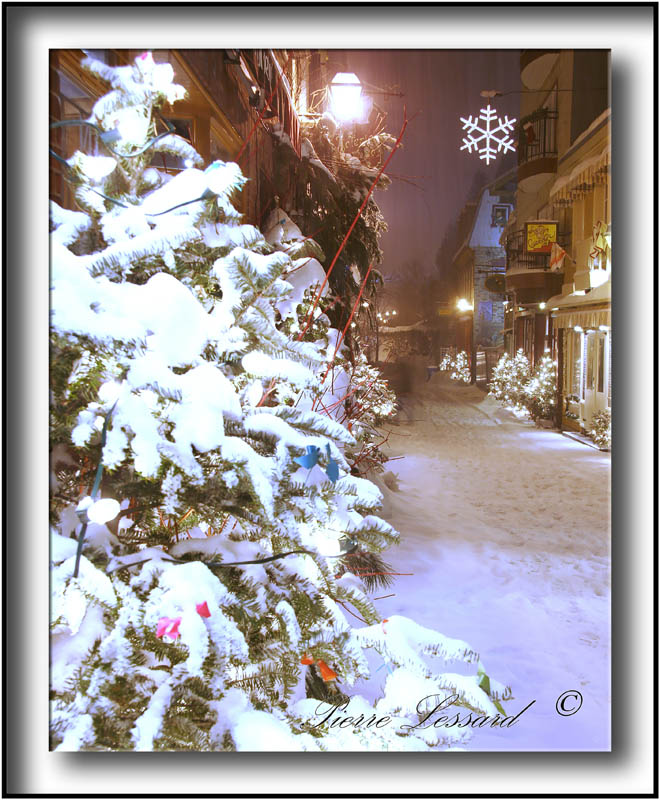 _MG_3328a  + 59.jpg -  LE PETIT CHAMPLAIN AU TEMPS DES FTES  /  IN CHRISTMAS TIME