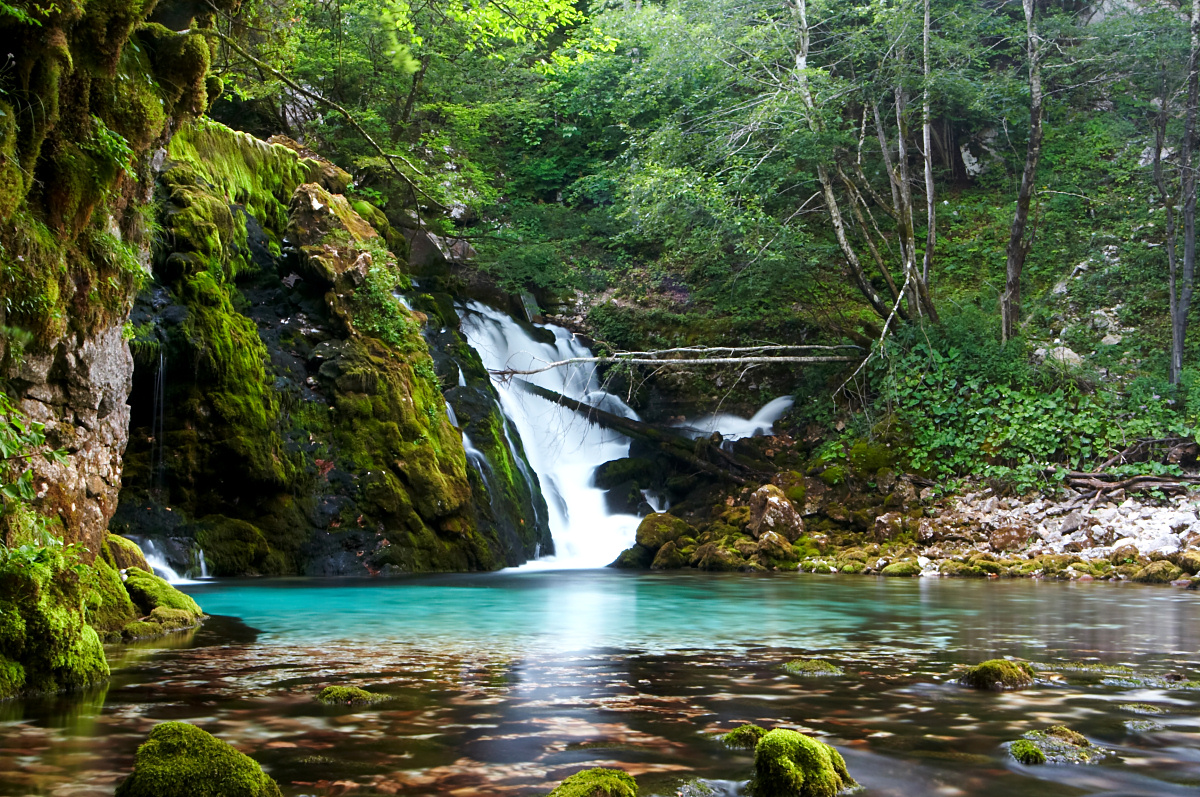 Izvir Bistrice - Spring of the river Bistrice