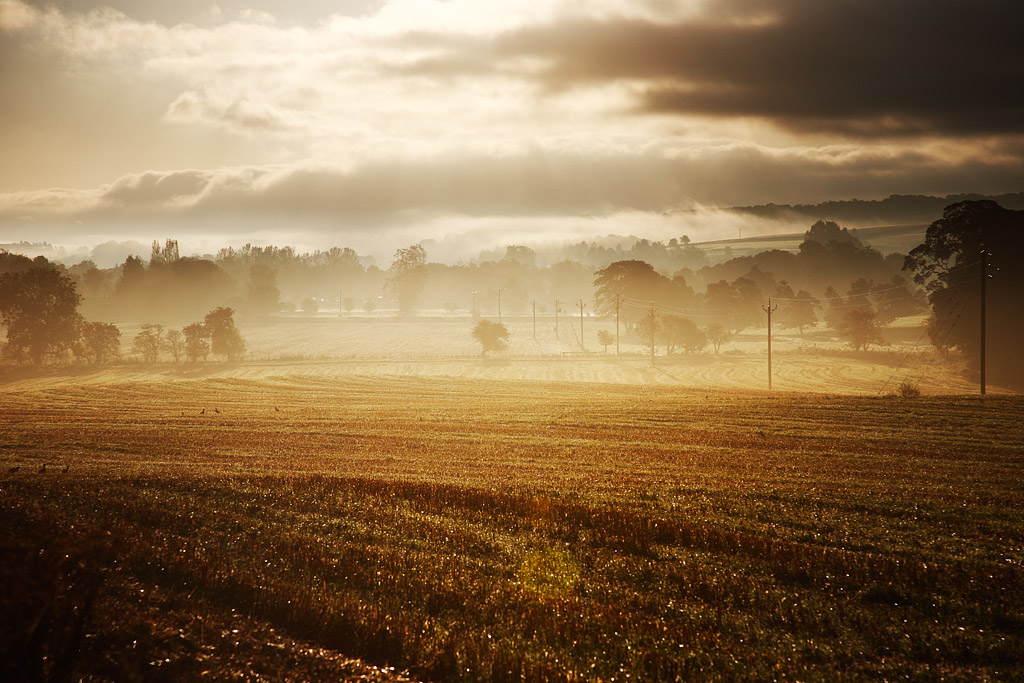 20081009 - Misty Morning...