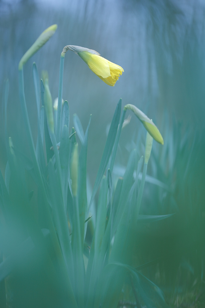20120309 - Spring