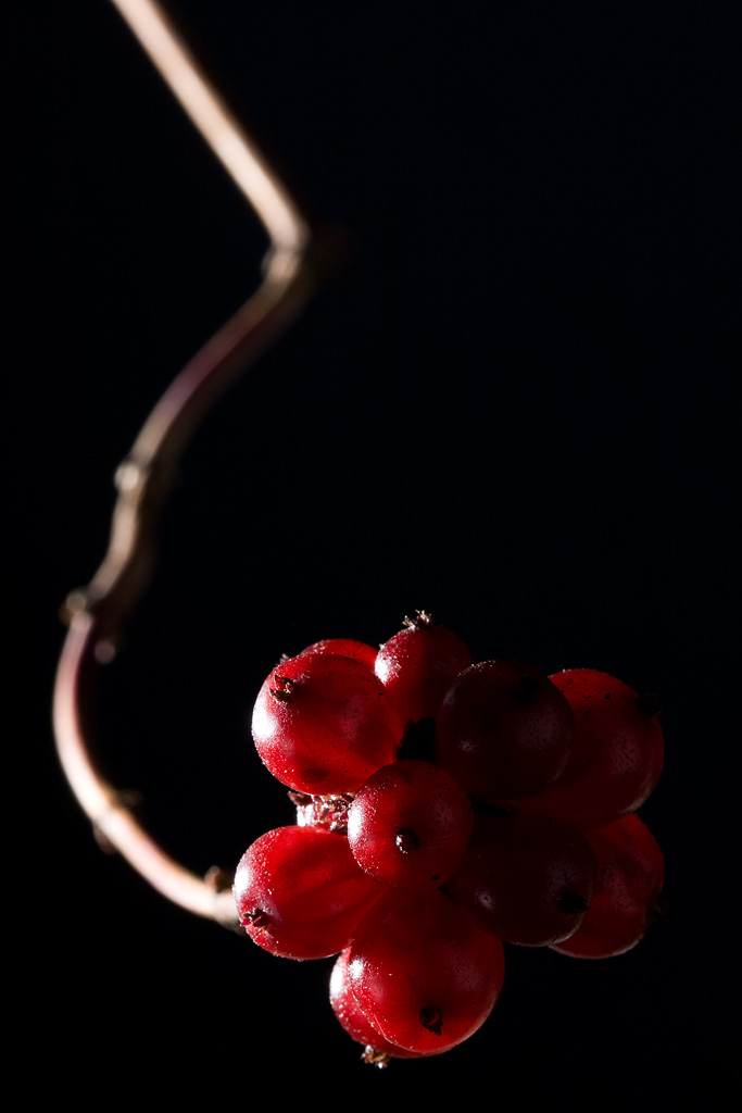 20071111-2 - Dry