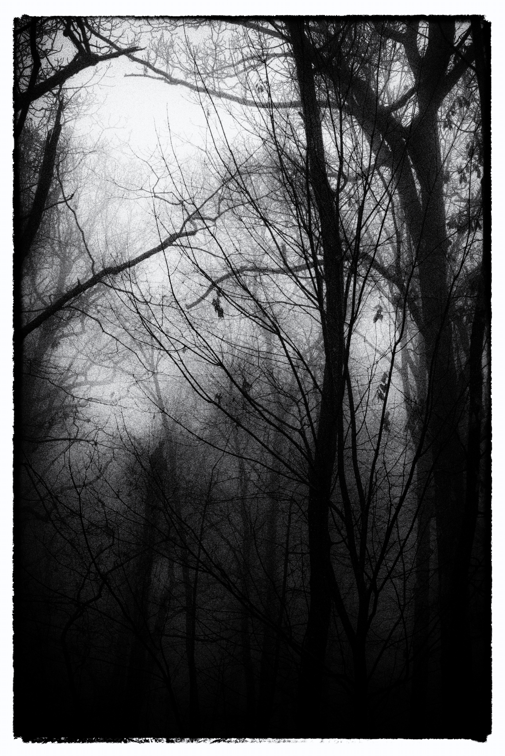 Dark Patterns