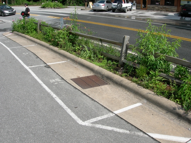 DSCN8522.JPG
