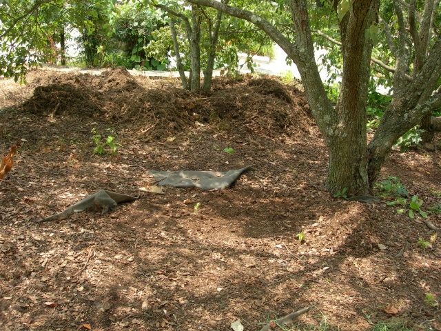DSCN7137.JPG
