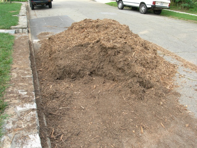 DSCN7149.JPG