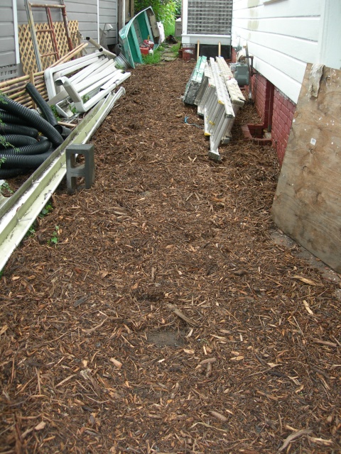DSCN7156.JPG