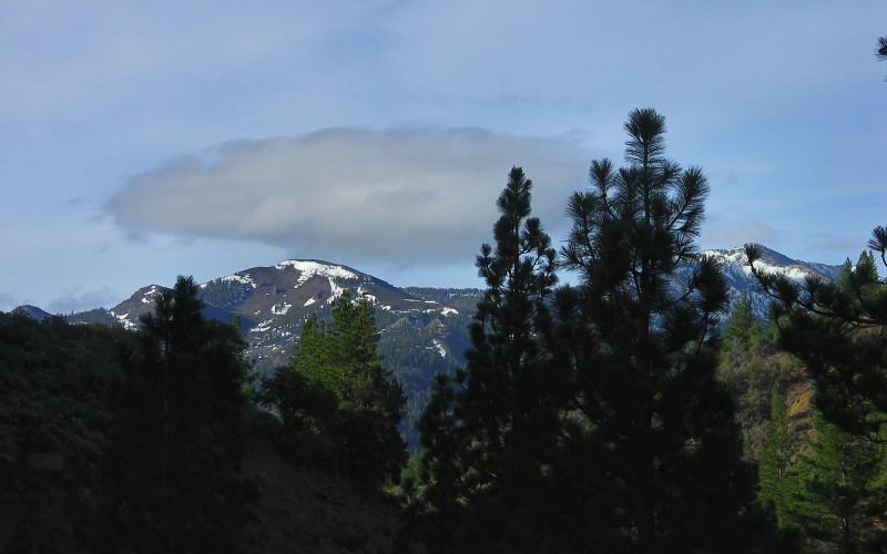 Monitor Pass, Ca.  Phyl.JPG
