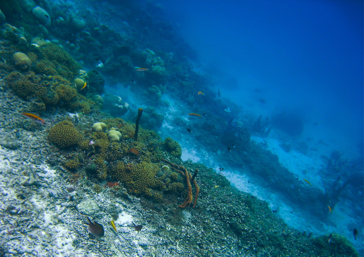 Barbara Beach, Curaao