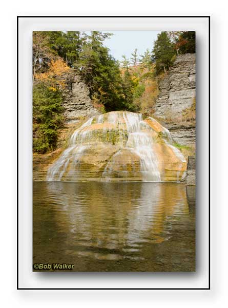 Robert H. Treman Parks Waterfalls