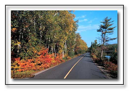 Opeongo Road