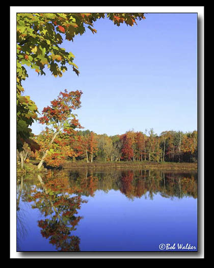 A Small Pond In Northern New York