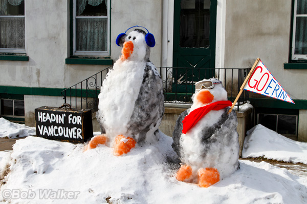 Olympic Penguins