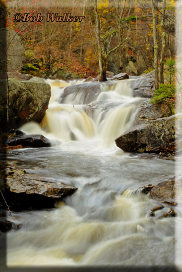 Cascading Flow At Greenwood Forest & Picnic Area