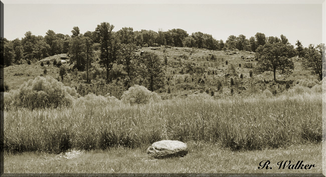 Looking Up At Little Round Top From the Devils Den