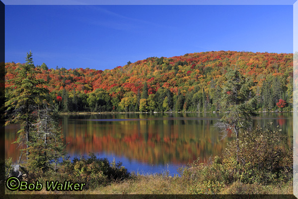 The Picturesque Brewer Lake