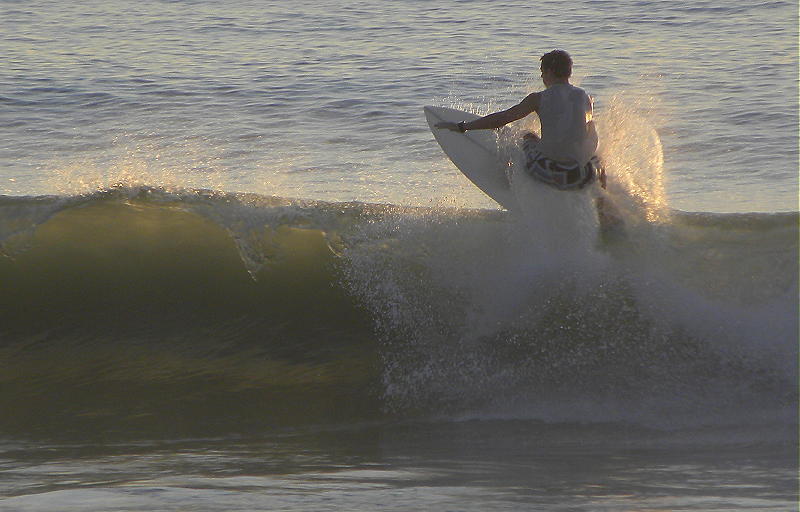 DSCN8479 2.JPG