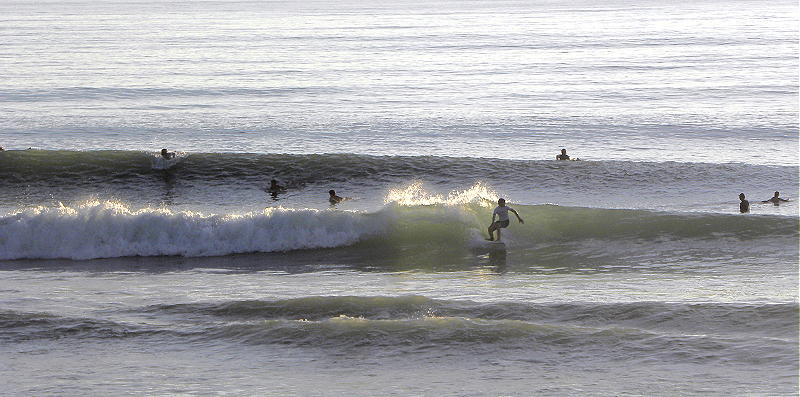 DSCN8530 2.JPG