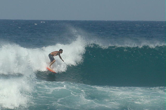 DSC06571 2.JPG