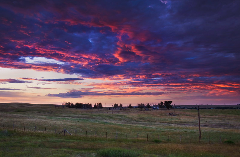 Grassland sunset