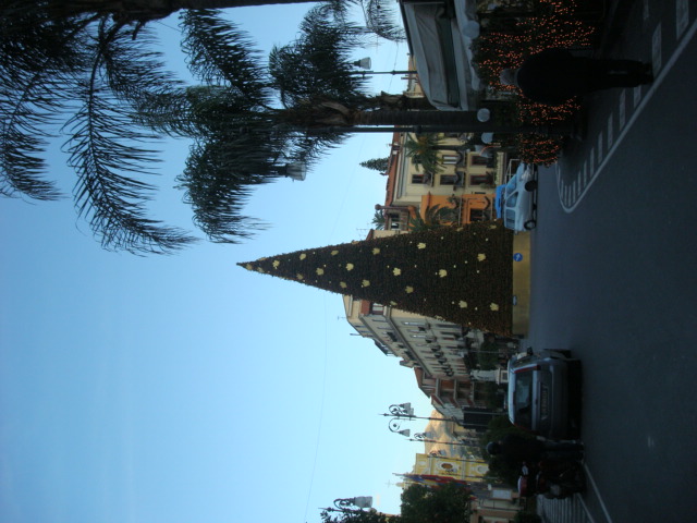 DSC02411.JPG