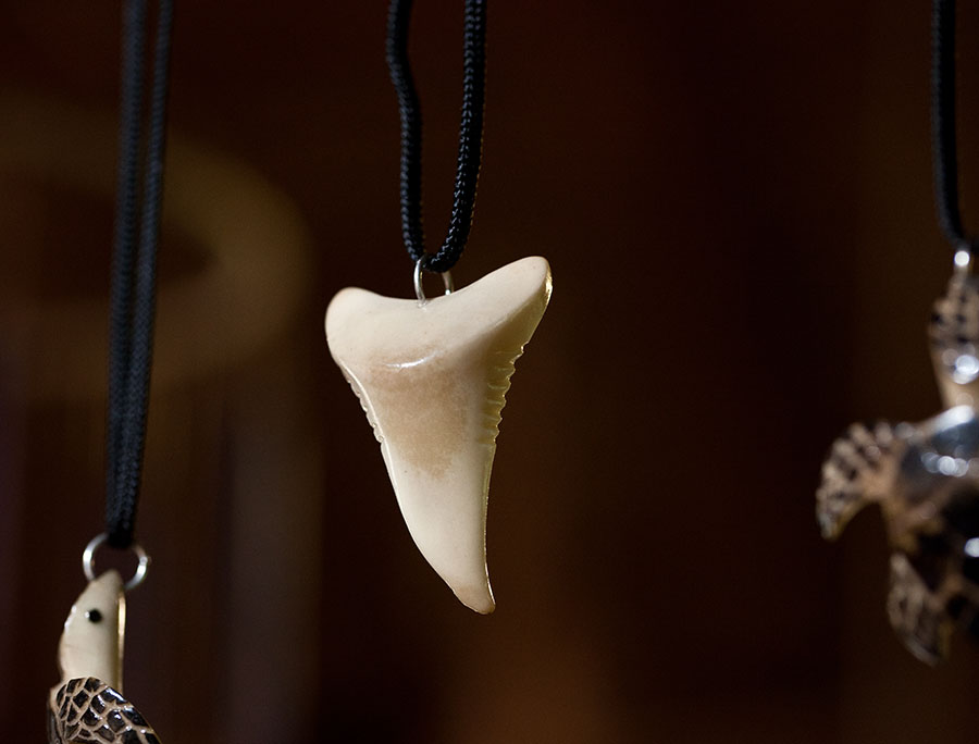 Sharks tooth carved from ivory nut. IMG_9334.jpg