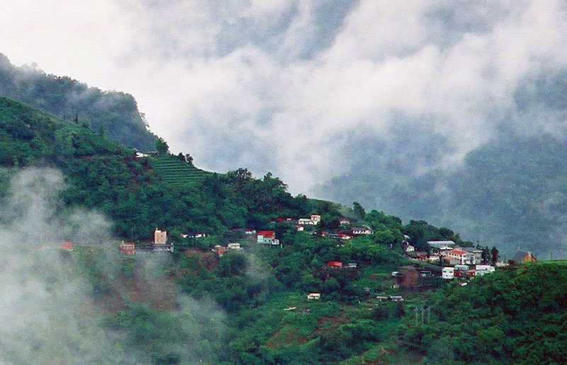 雲上人家