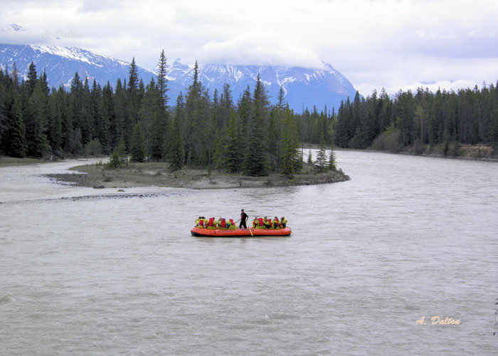 Heading For The Rapids