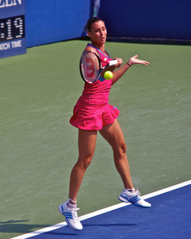 2011 US Open tennis